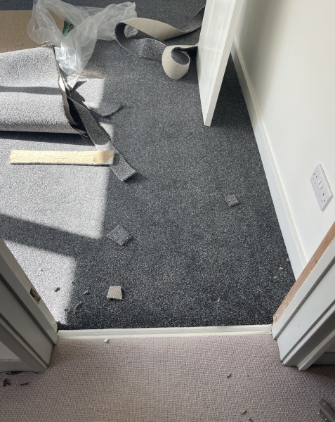 Wrong Carpet and Wardrobe Issue