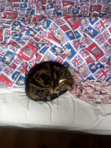 To think that I can't make my Bed now?