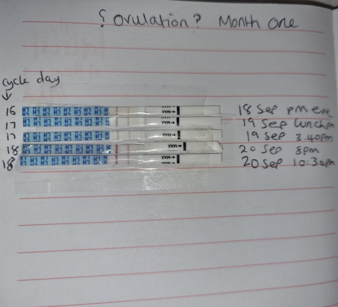 Is this positive ovulation test strip ?
