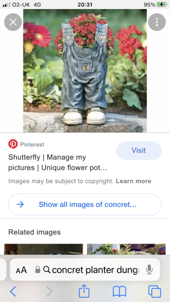 Does anyone know what this is?  Photo attached