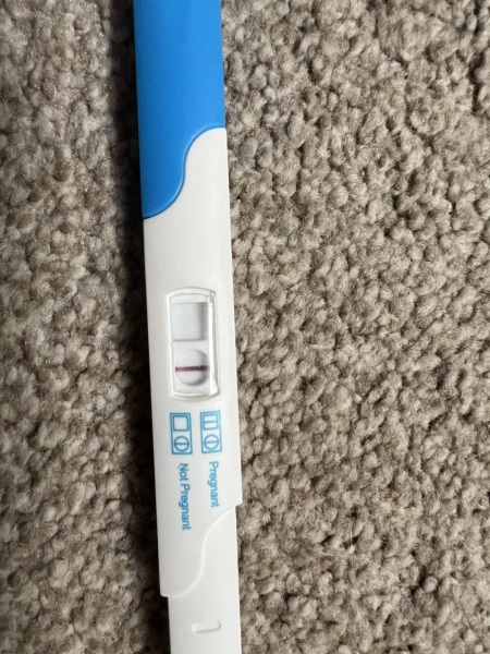 13 dpo bfn