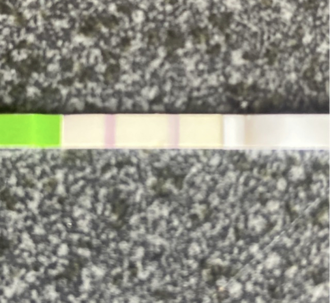Negative test 19 days or more past ovulation 