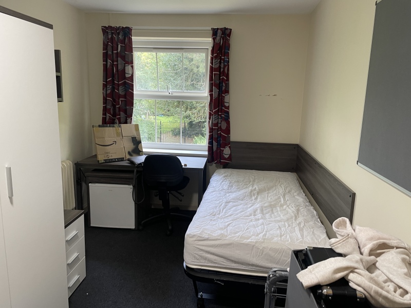 Thread 40 - Corona Cohort , Falling into Autumn 🍂 