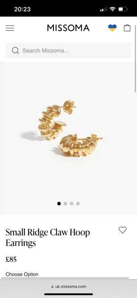 Please help me find earrings like this