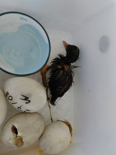 Ukraine Invasion: Part 31