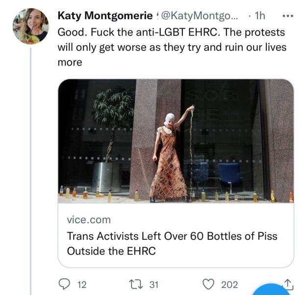 'Protest' at EHRC HQ