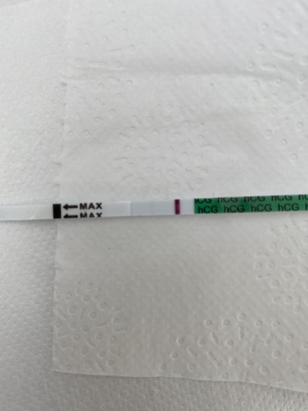 Pregnancy test 
