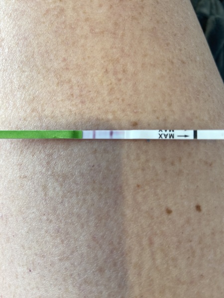 Opk as pregnancy test