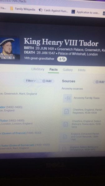 Henry VIII - waste of space?