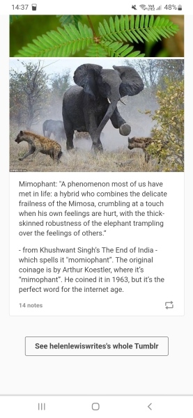 Are you a HSP? Highly sensitive person?