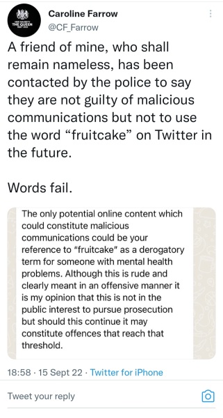 How significant is this report that claims the public feels police officers are "more interested in being woke than solving crimes"?