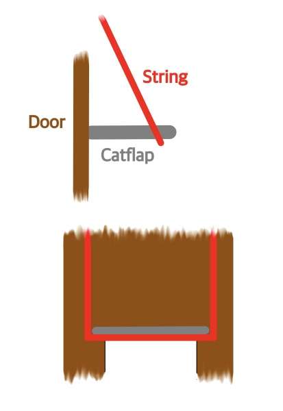 Reluctant cat flap users
