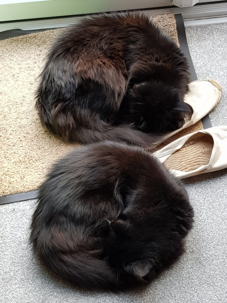 To a life well spent – RIP Cap'n V