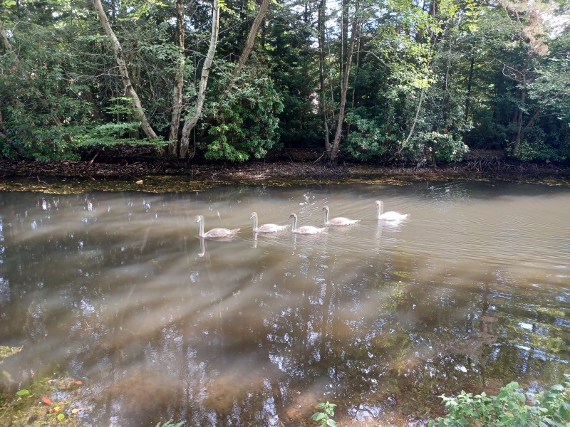 Come chat hiking with me!