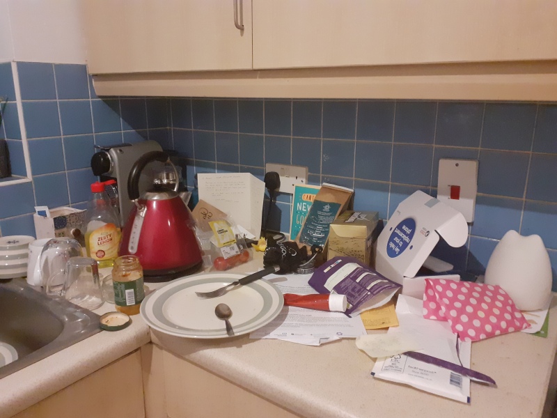 To ask for help with organising myself - calling all houseproud people