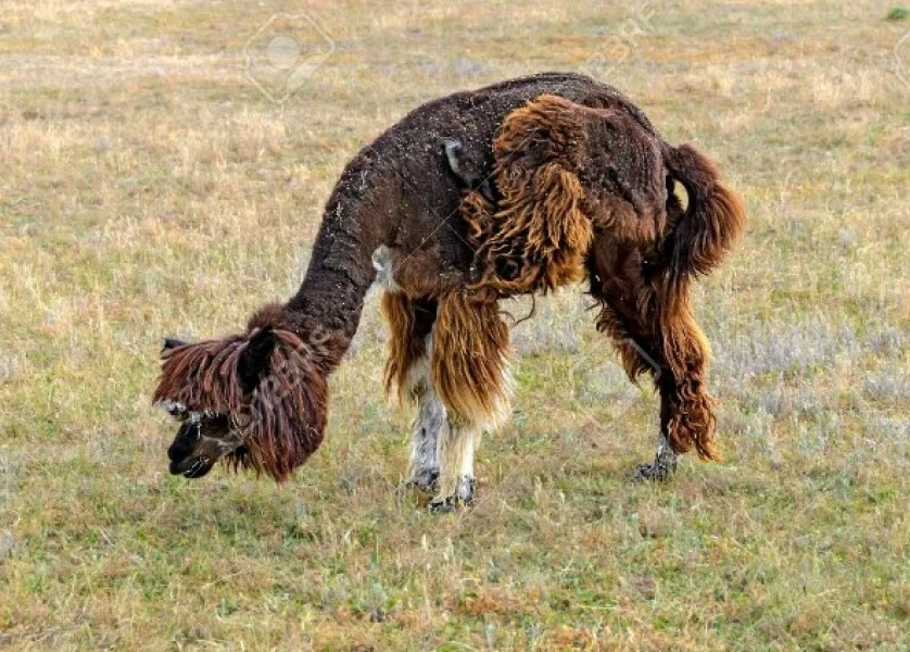 What did we see last night..?