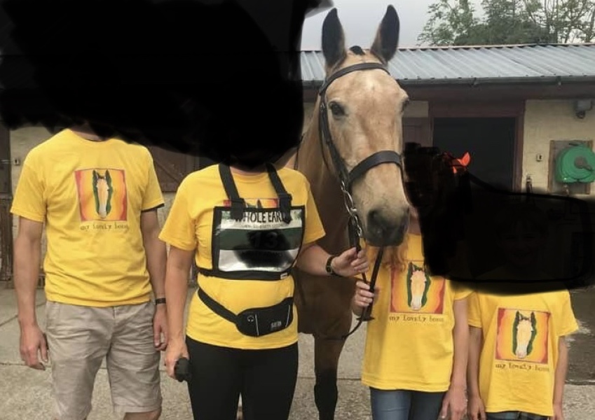 My Lovely Horse