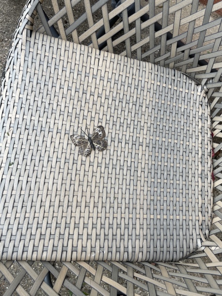 Where did this fake (but realistic) butterfly that I nearly sat on come from?! 