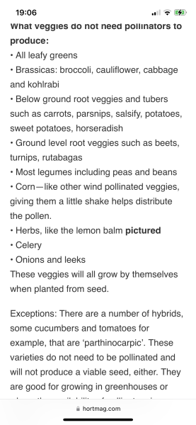 Aibu to be pissed off that vegetables and nuts aren't vegan?