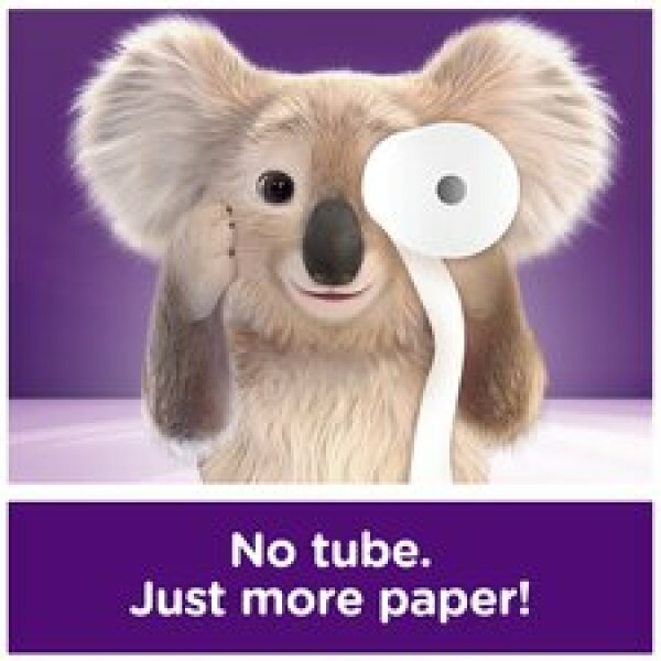 I have a very important question about the advent of tubeless toilet rolls