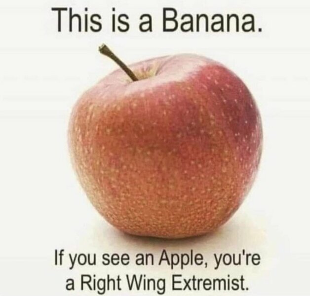 sarah ditum on Posie parker