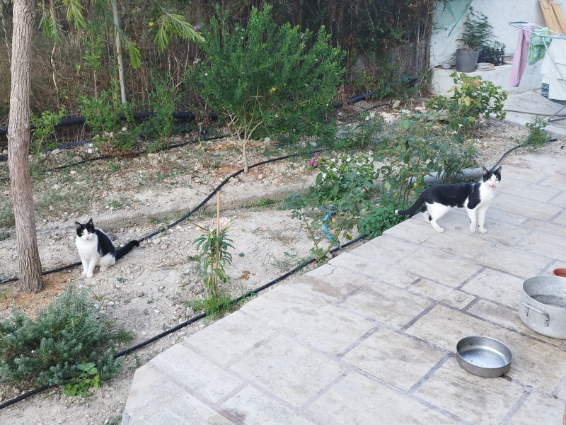 Ollie, Prince, Leroy, Walter and Co...
