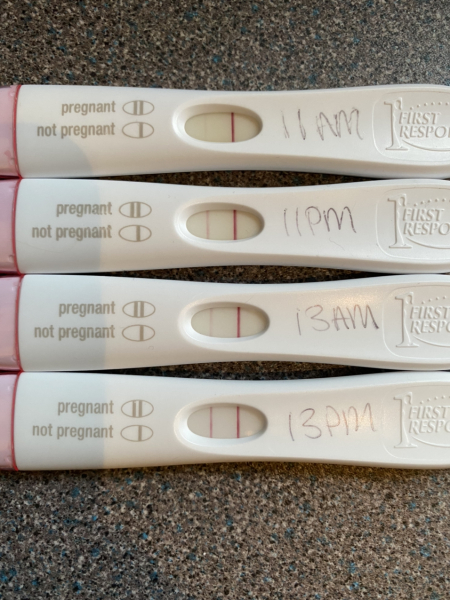 June 2023 Babies 🌞
