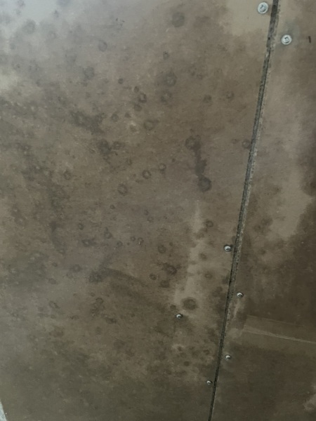 Pics attached is this enough to kill the mould/mildew?