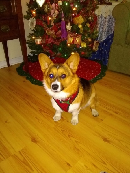 Royal Style: Elizabeth may be gone, but her diamonds are forever 