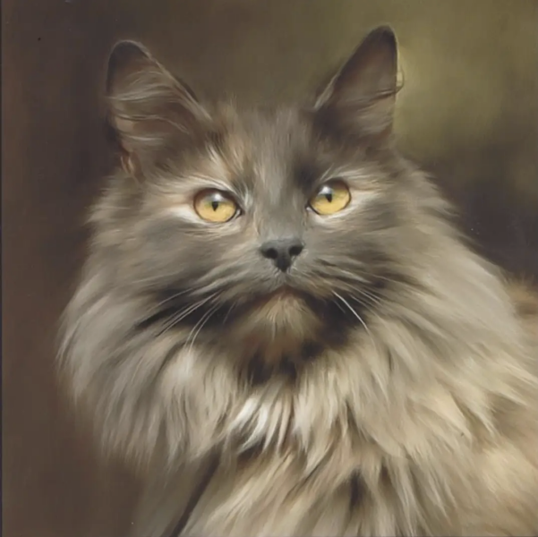 Norwegian forest cat..is this cat one ?