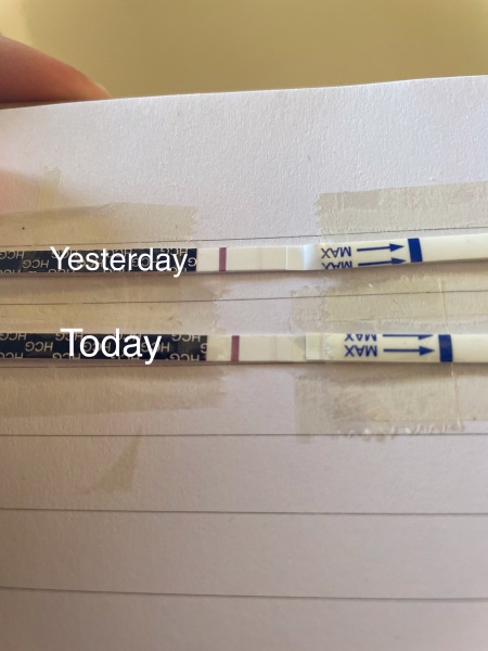 Pregnancy progression, please advise! ❤️