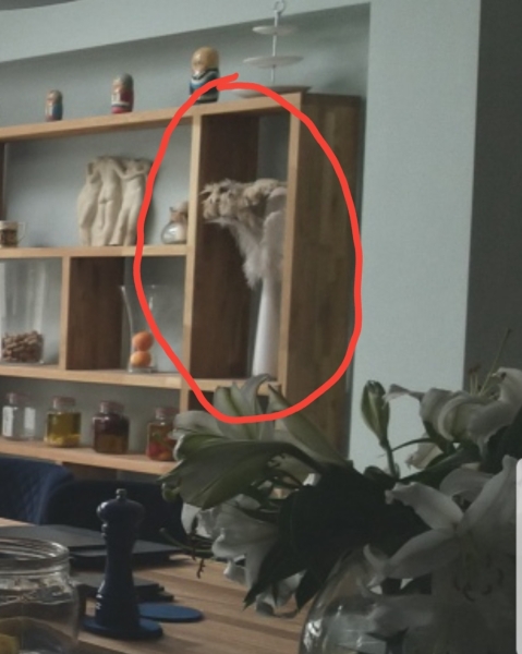 Show me your DIY Kitchens in Cornflour blue