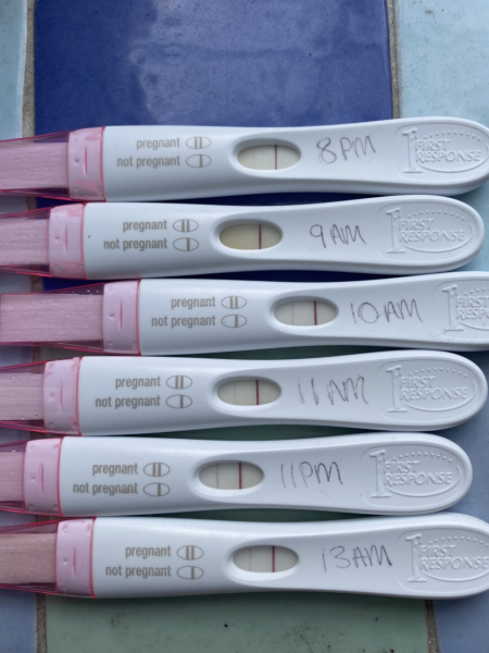June 2023 Babies 🌞