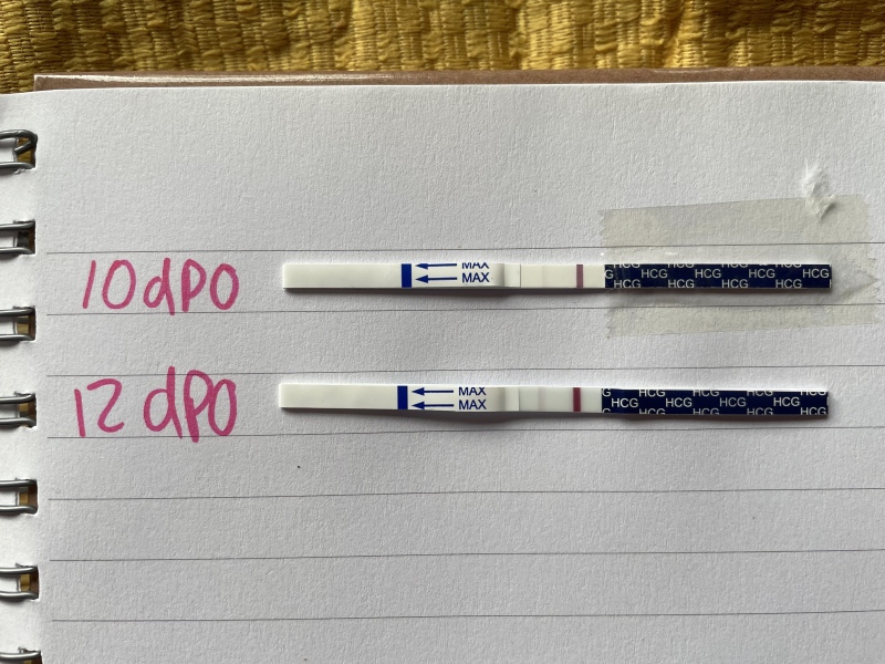 Pregnancy progression, please advise! ❤️