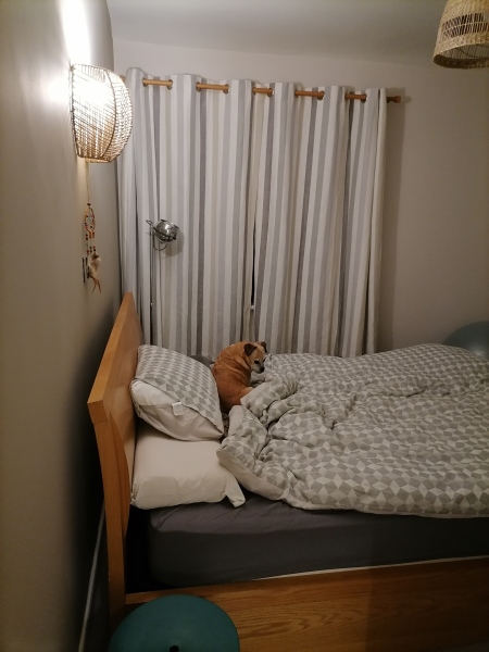 To ask you where your curtains are from?