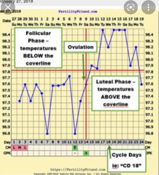 To not understand ovulation and periods?