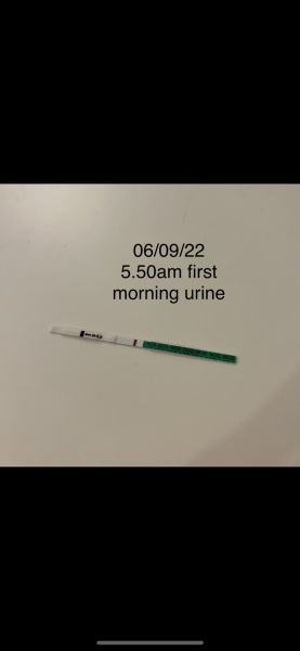 Am I pregnant or not?