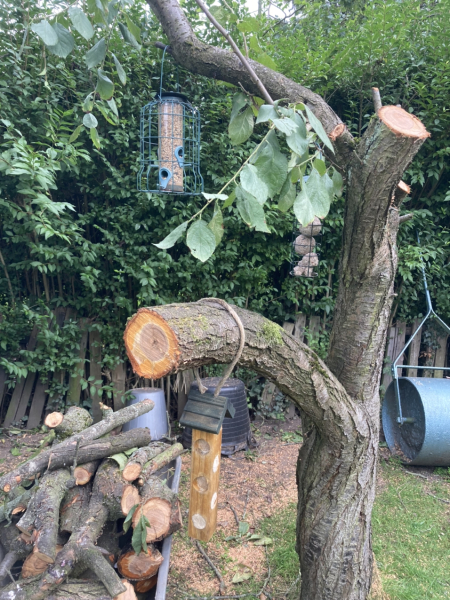 Show Us Your Pictures 6