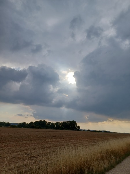 Come chat hiking with me!