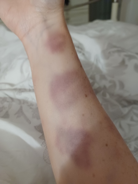 Help me with the pain and decision of rehoming