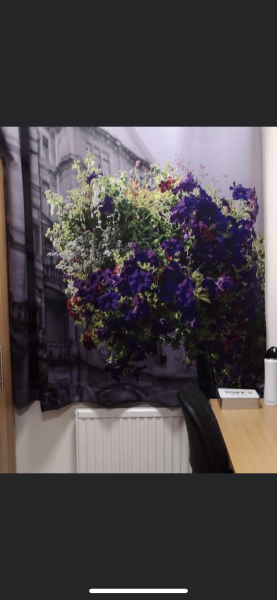 Thread 41 Corona Cohort -  Autumn Adventures of our Adult Children 