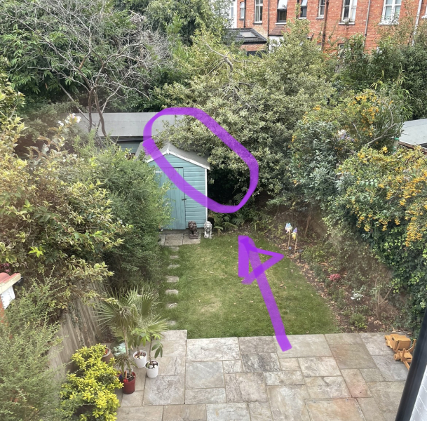 Gardening Virgin- don't know where to begin :(