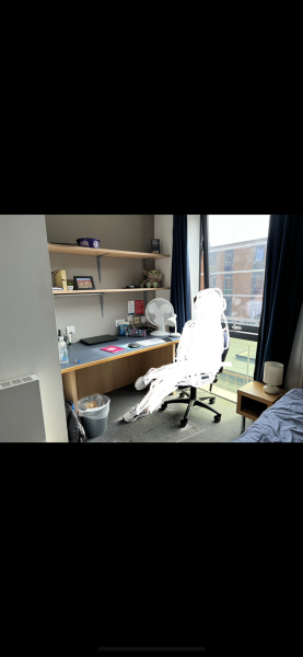 Thread 40 - Corona Cohort , Falling into Autumn 🍂 