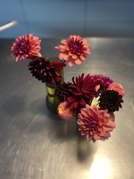 Who’s growing Dahlias this year