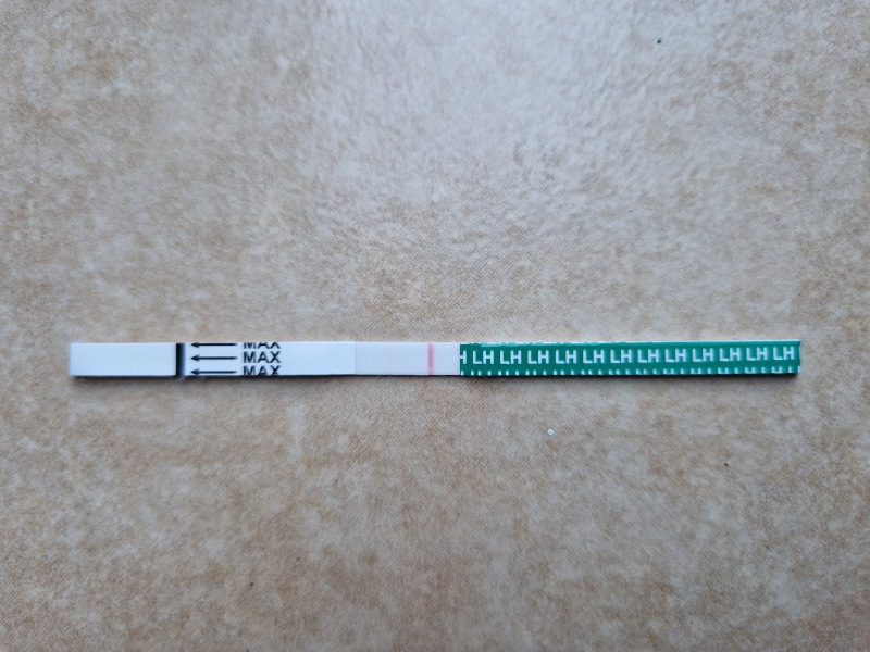 First timers, TTC. Safe space for brain dumps...