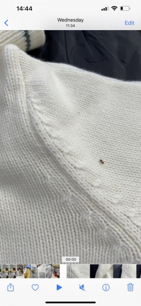 Bed bugs