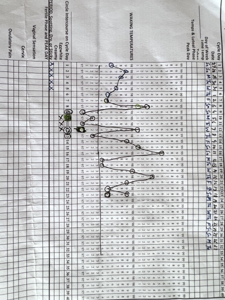 Basal Body Temperature