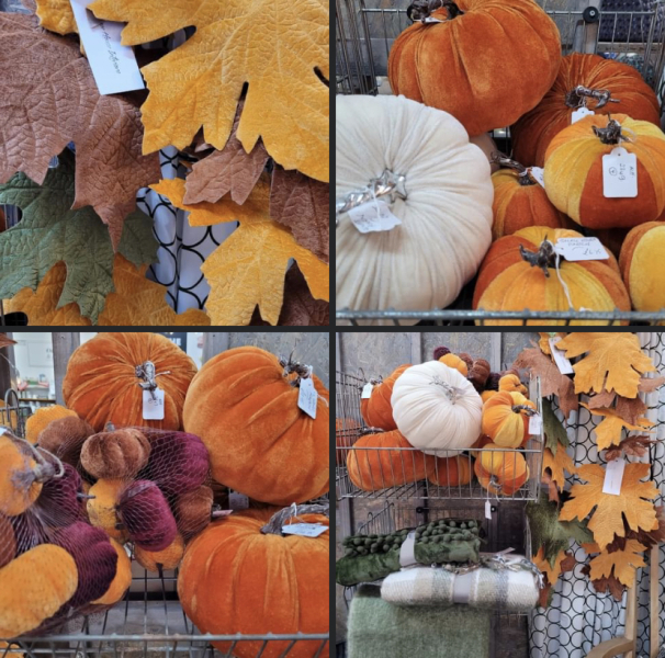 Classy Halloween decorations - where from? 