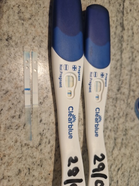 AMA: Share your questions about planning a holiday to Walt Disney World Resort Florida with Mumsnet Disney experts - £200 voucher to be won