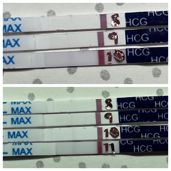 10/11 DPO need an honest opinion please